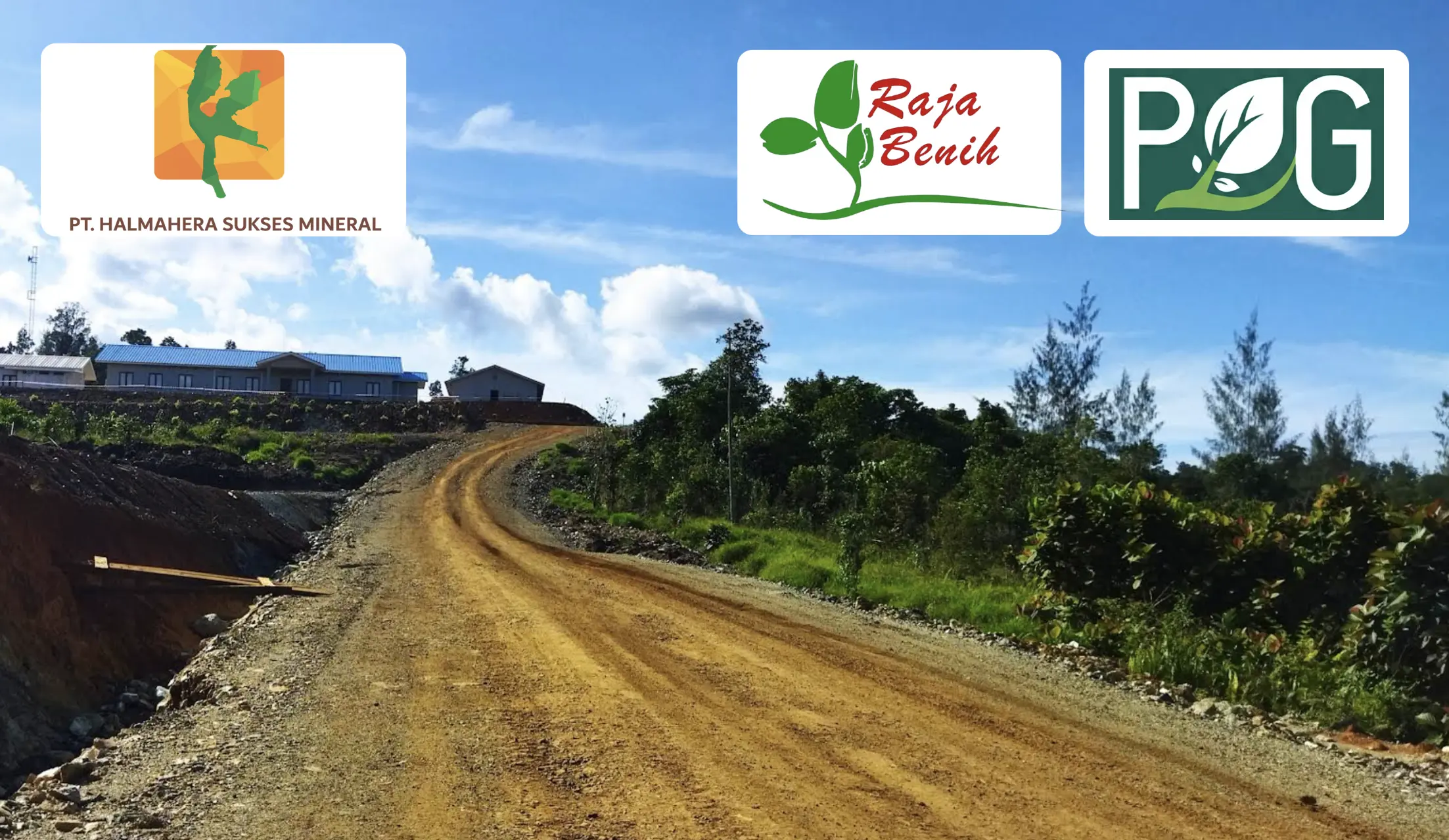 PT. Halmahera Sukses Mineral dan Raja Benih : Kolaborasi Reklamasi Tambang Nikel Berkelanjutan di Halmahera Tengah